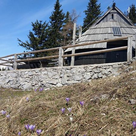 Chalet Resa - Velika Planina Stahovica Esterno foto