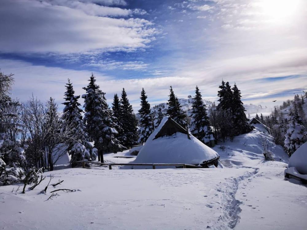 Chalet Resa - Velika Planina Stahovica Esterno foto