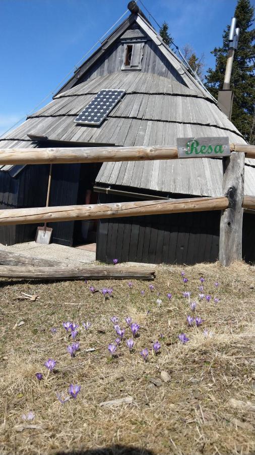 Chalet Resa - Velika Planina Stahovica Esterno foto