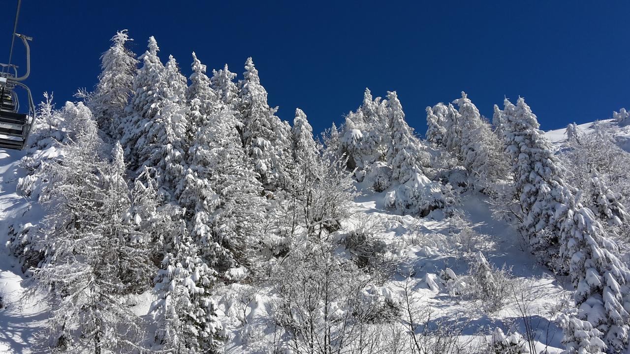 Chalet Resa - Velika Planina Stahovica Esterno foto